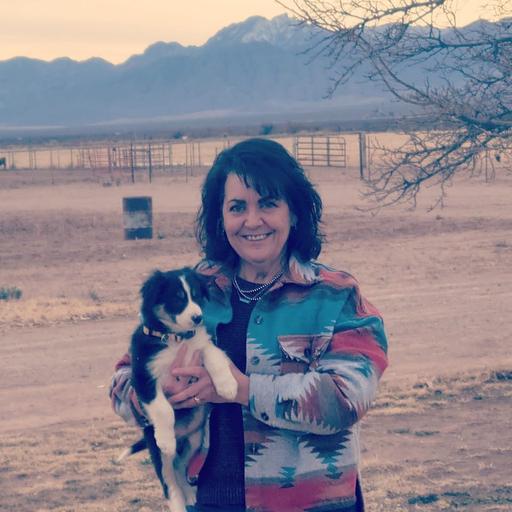 User profile photo