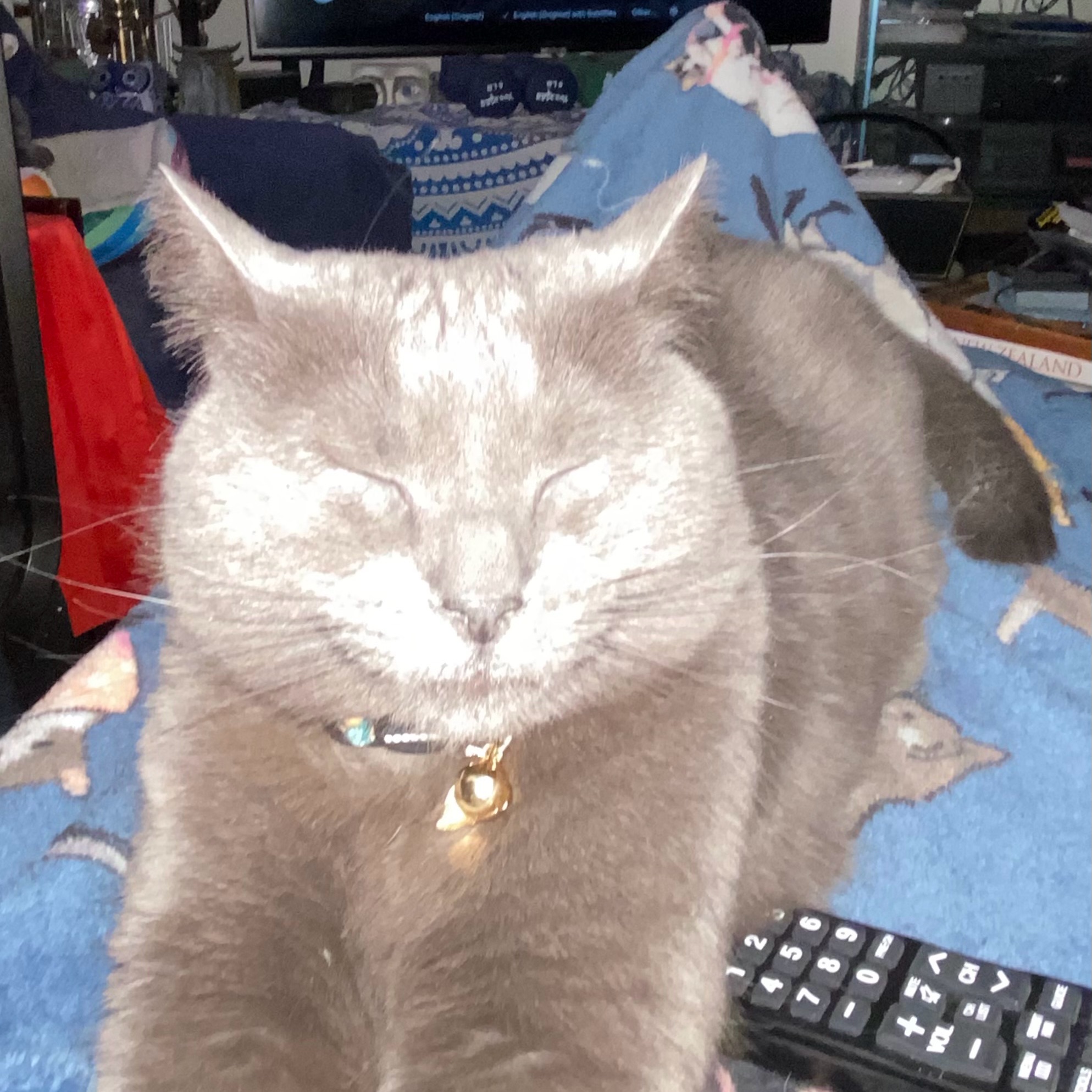 Picture of JUDITH JUETTEN