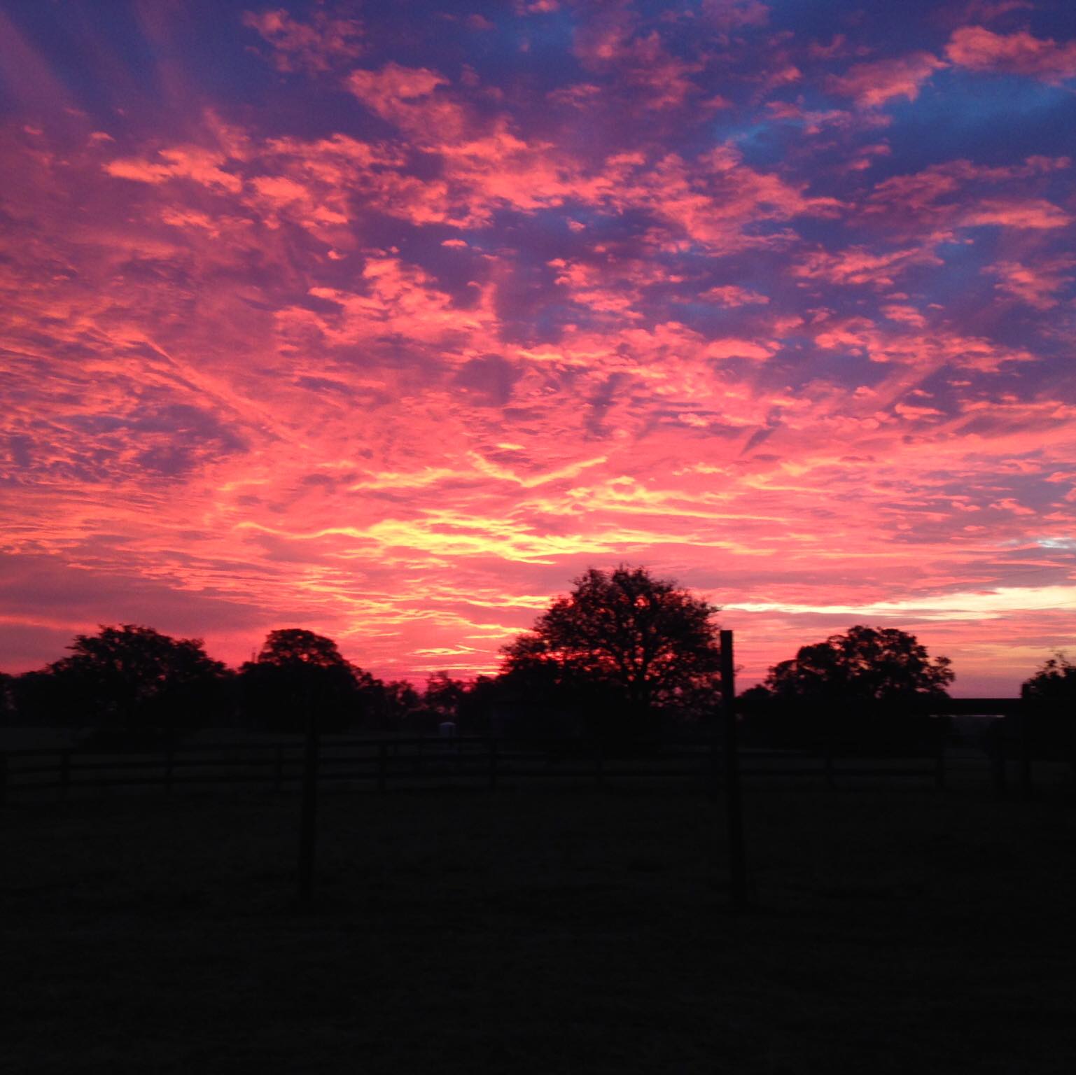 Picture of Nancy Taylor