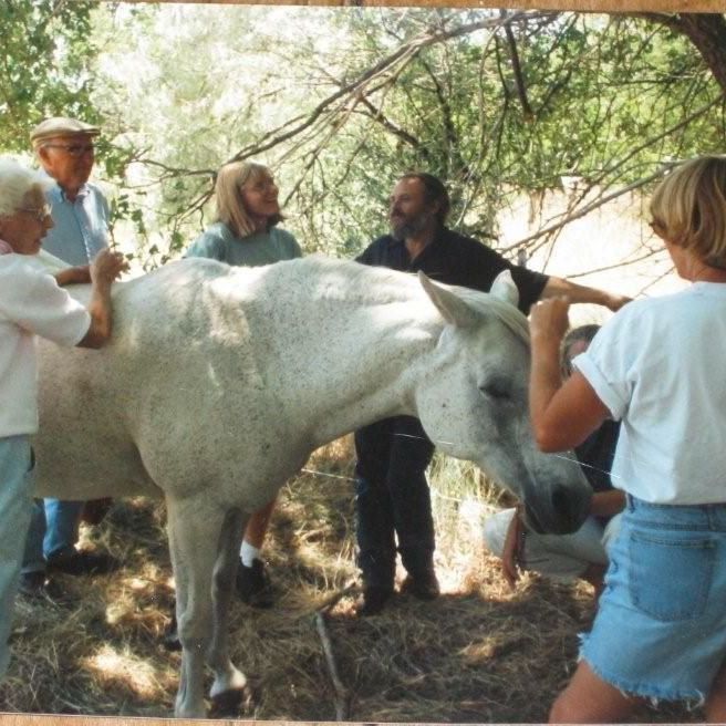 Picture of MaryAnn Mathis