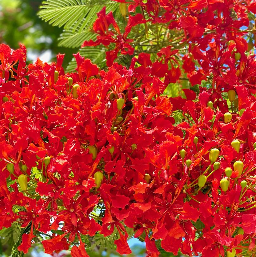 Picture of Susan & Bill Scott