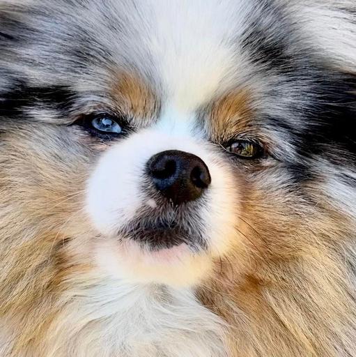 User profile photo