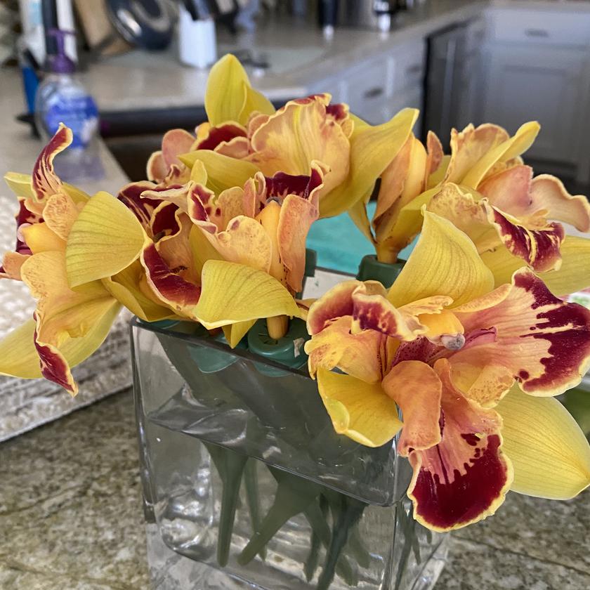 Picture of Sandra Hughes