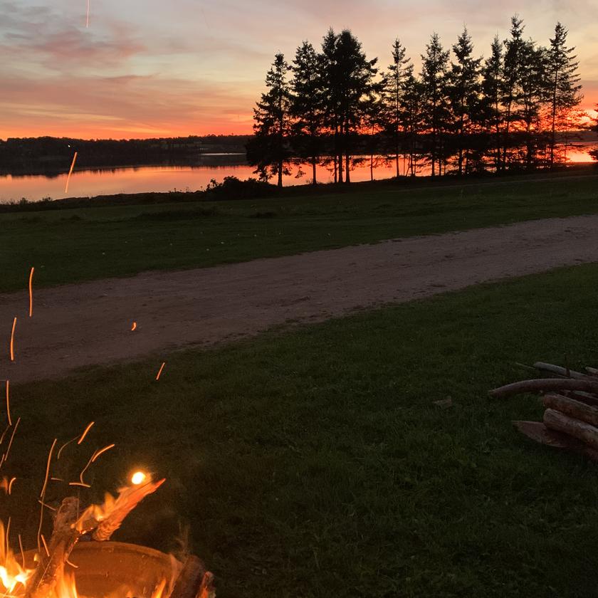 Picture of David Morris