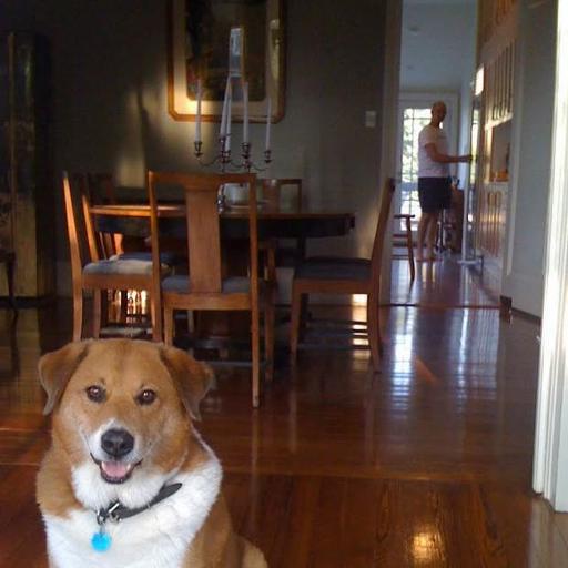 User profile photo