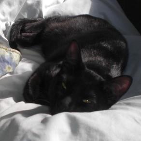 user profile icon inside a circle