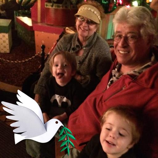 user profile icon inside a circle