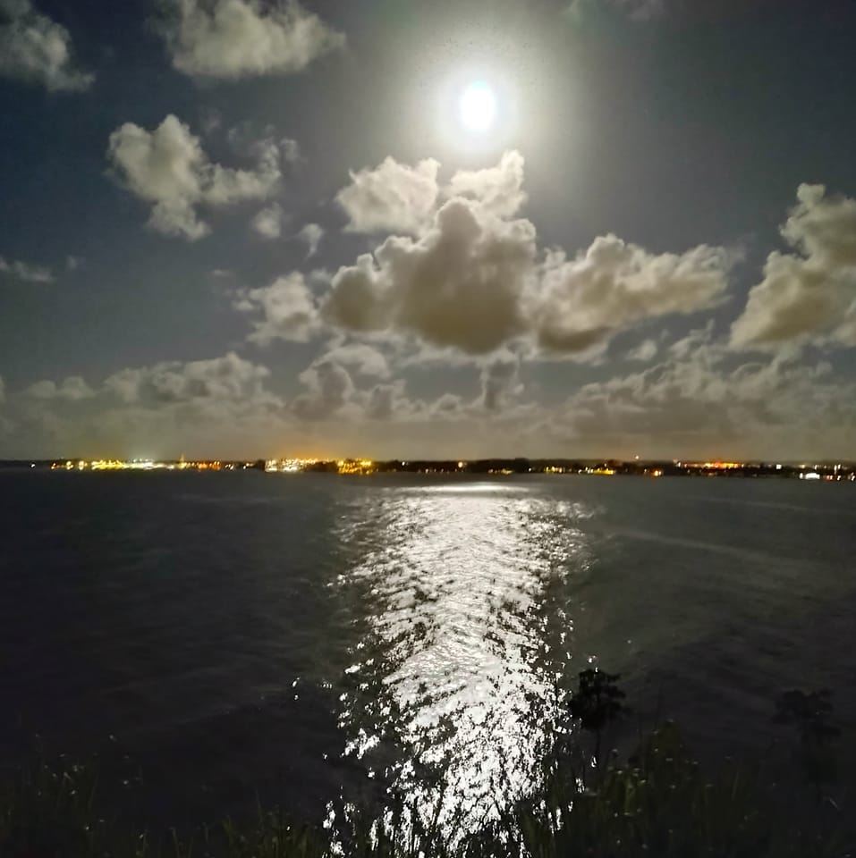 Picture of Kristine kritzi Smock