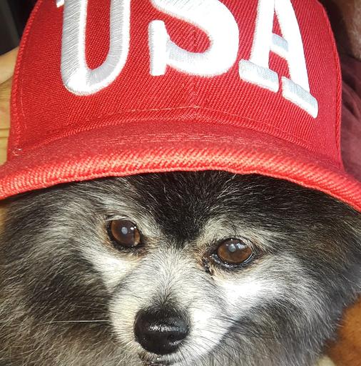 User profile photo