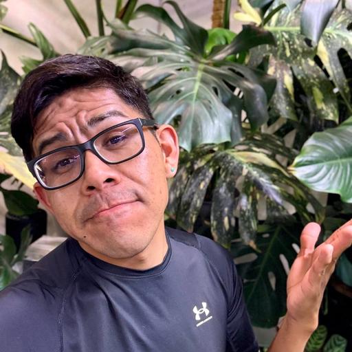 User profile photo