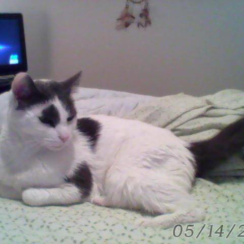 Picture of Heather Hobbs