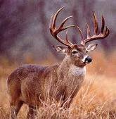 Picture of Victor Hernandez