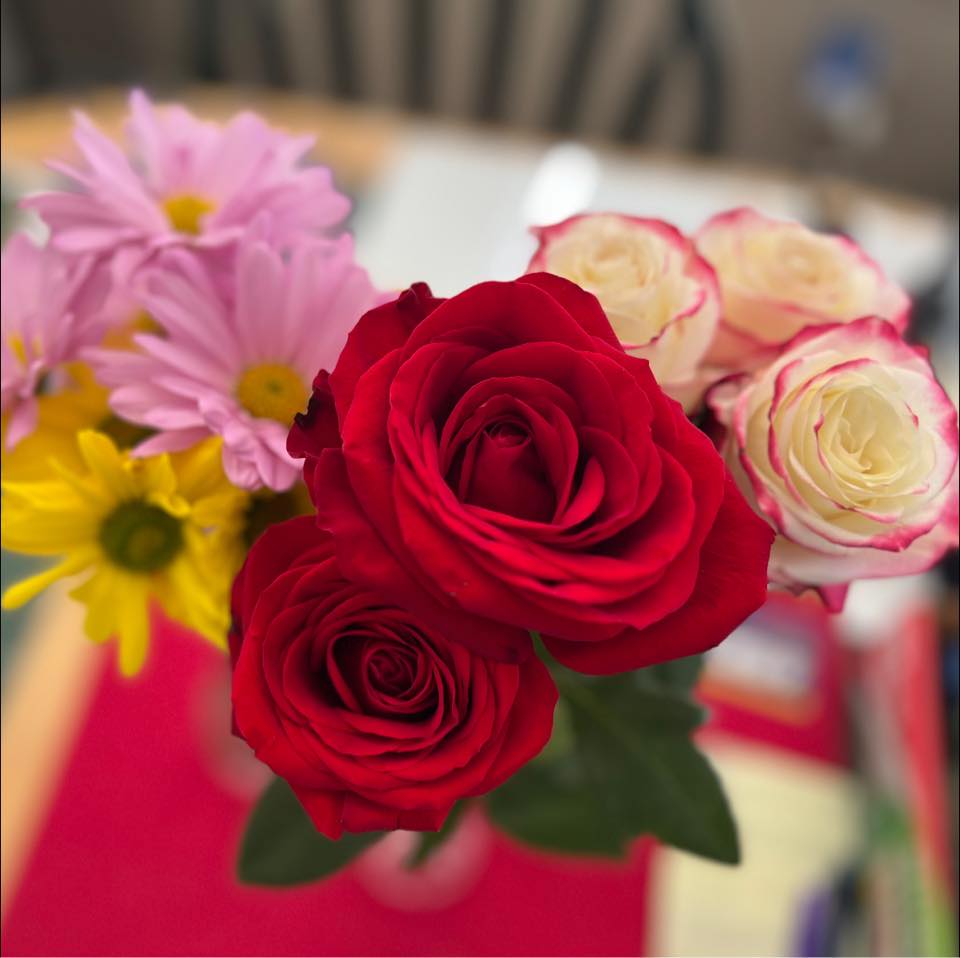 Picture of Janet Green