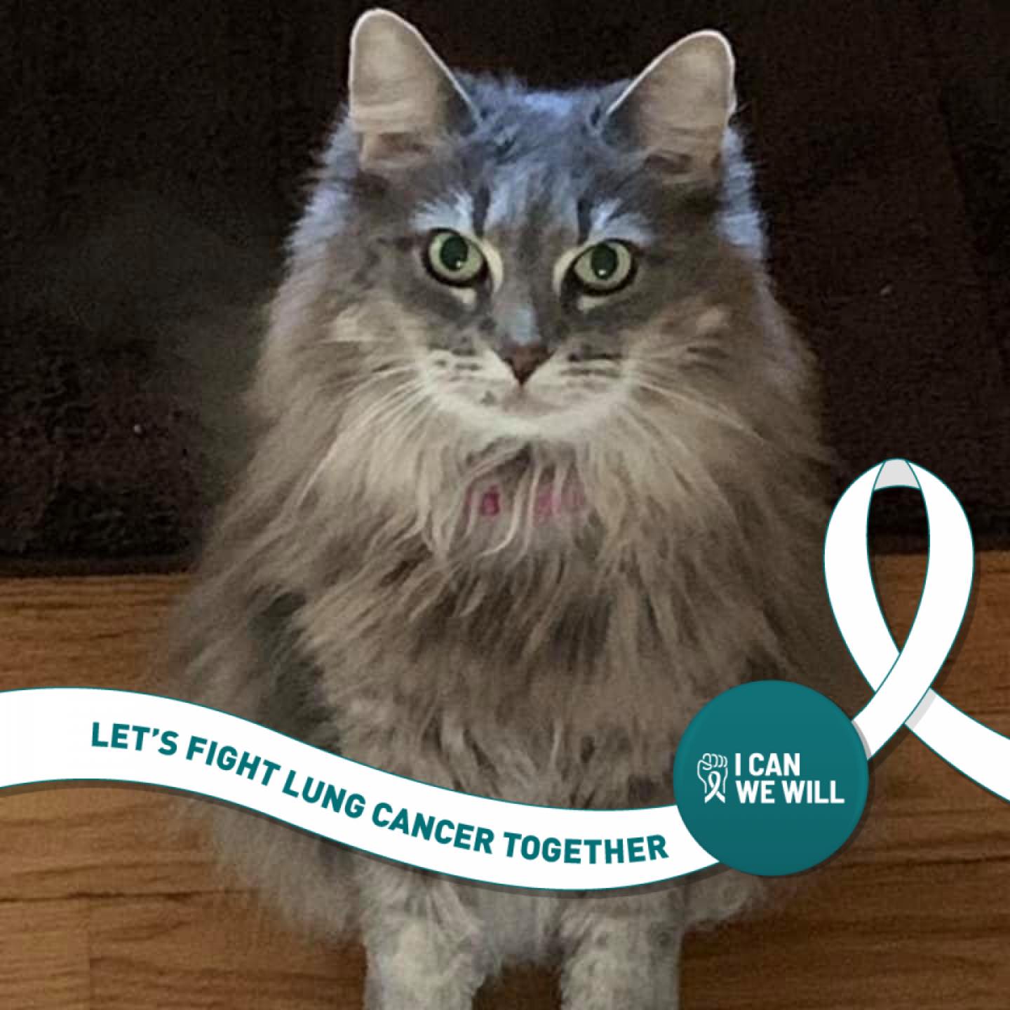 Picture of Avis DeRosa-Califano