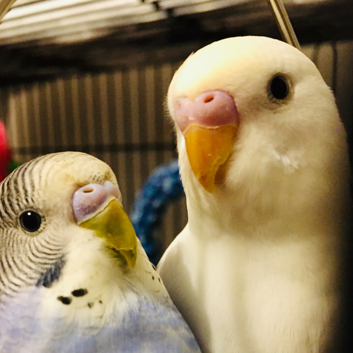 Picture of Stephanie Martinez