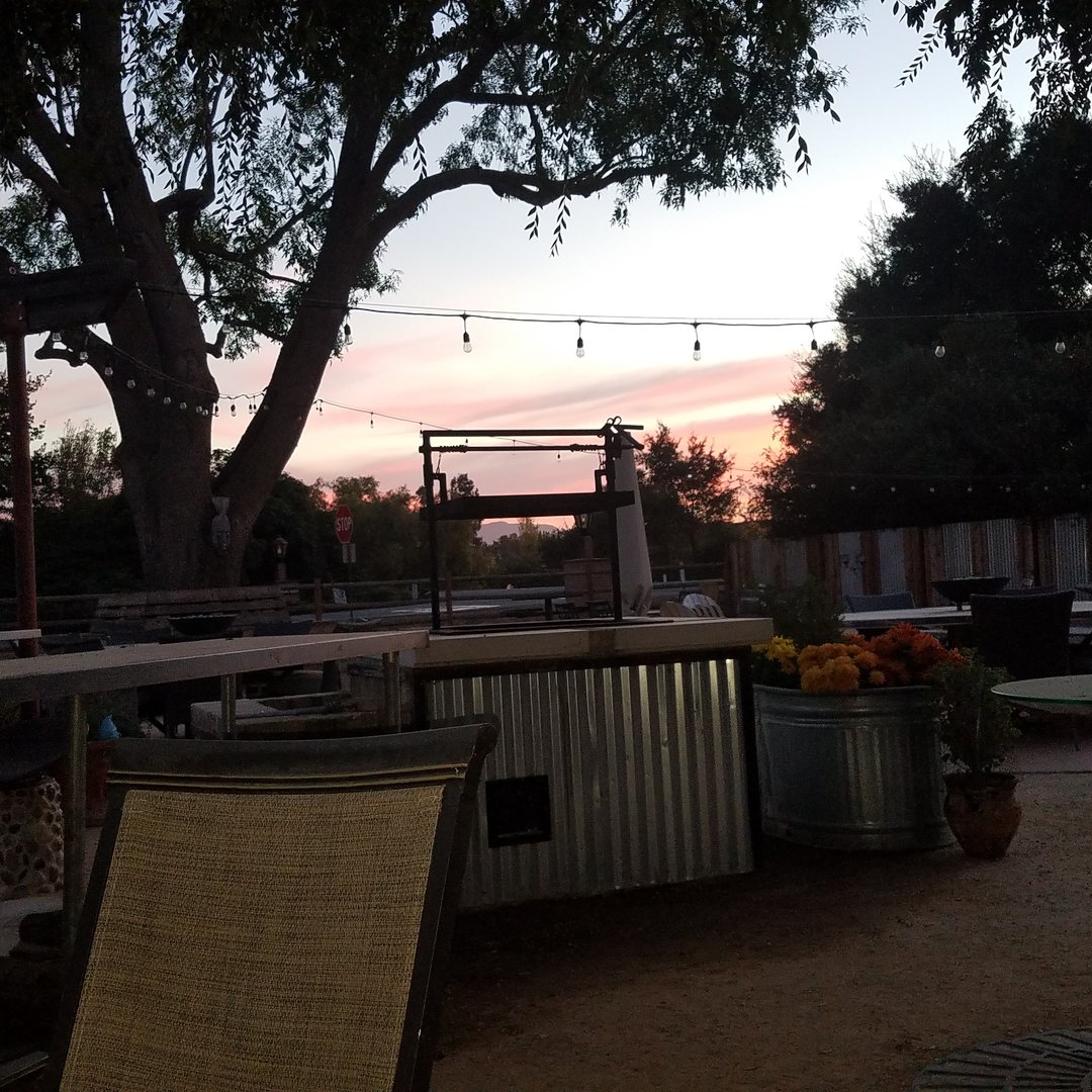 Picture of Vicki Wedmore