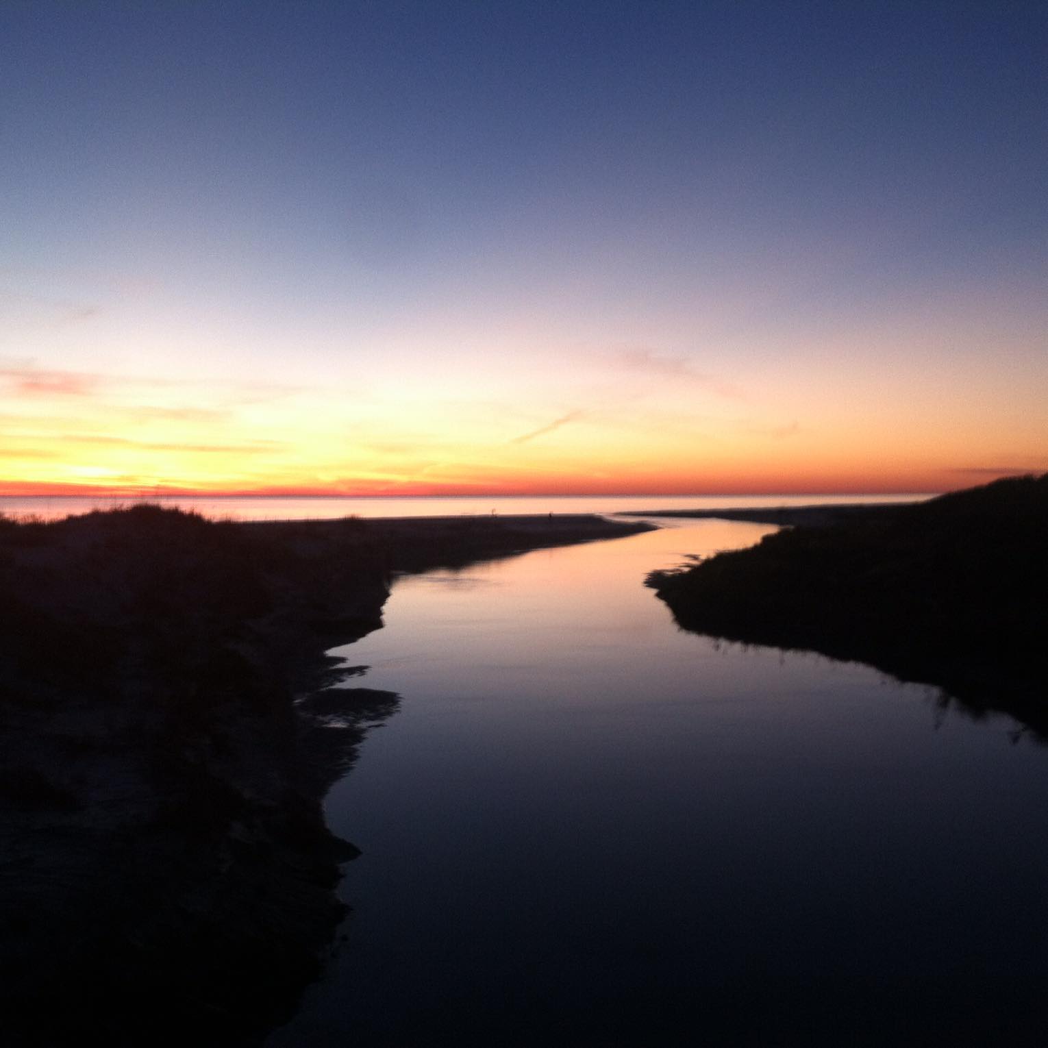 Picture of Donna Stagliano-Swetsky