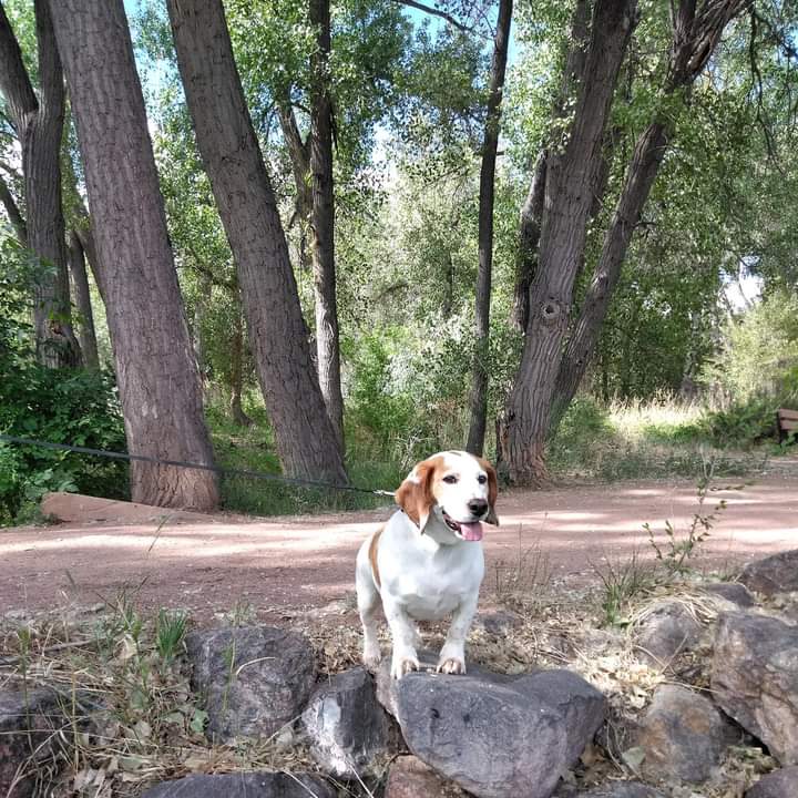 Picture of Timothy Jordan