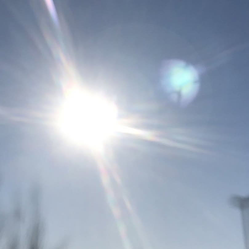 Picture of Farhoxer Racer