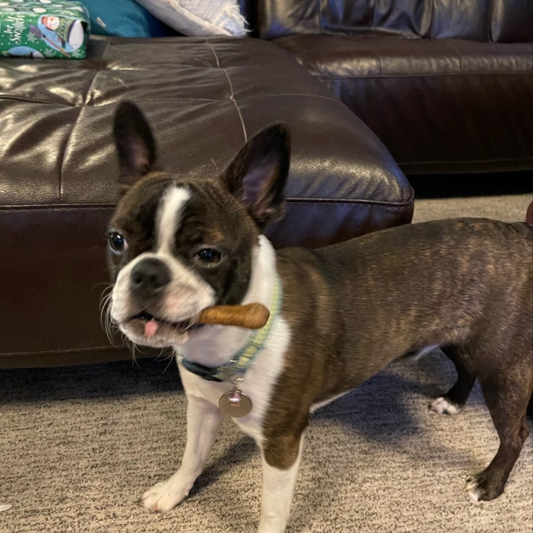 Picture of David Moss