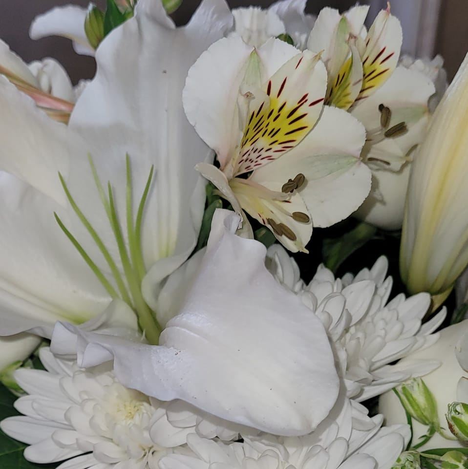 Picture of Mary Warhop