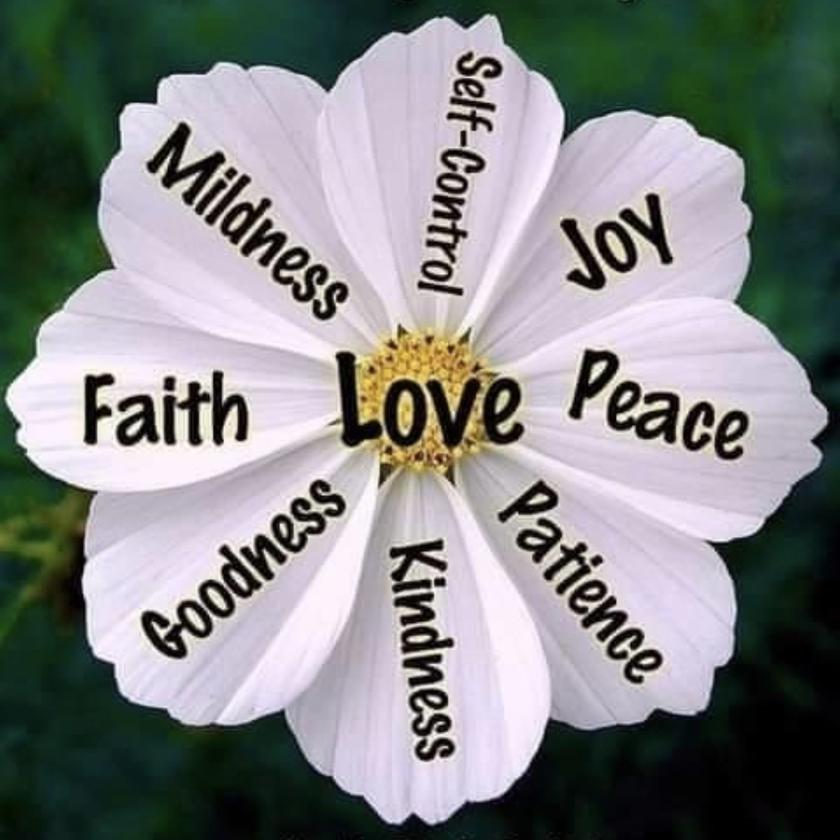 Picture of Amanda Perez