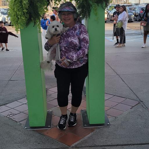 User profile photo