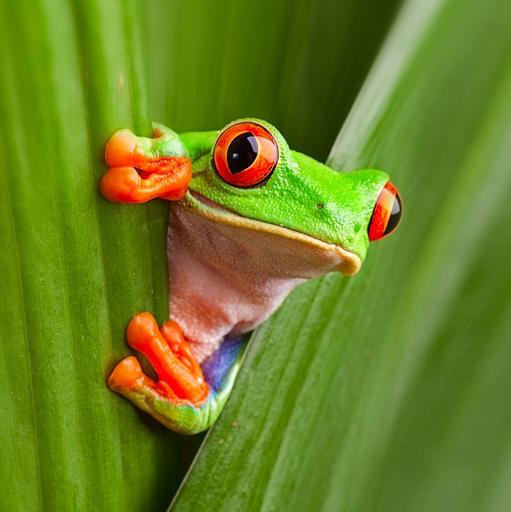 User profile photo