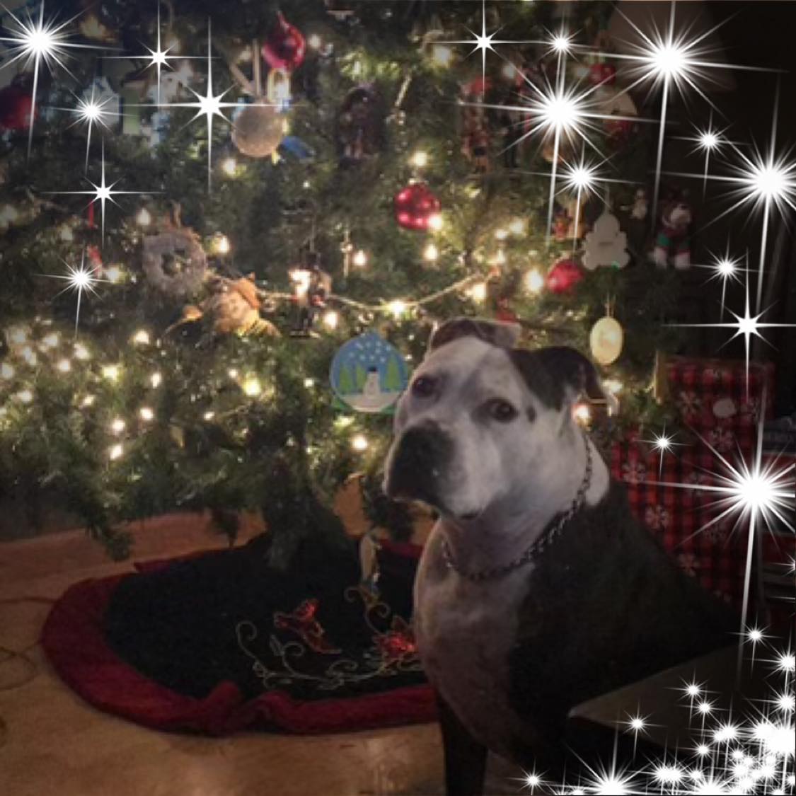 Picture of Stacey Locker