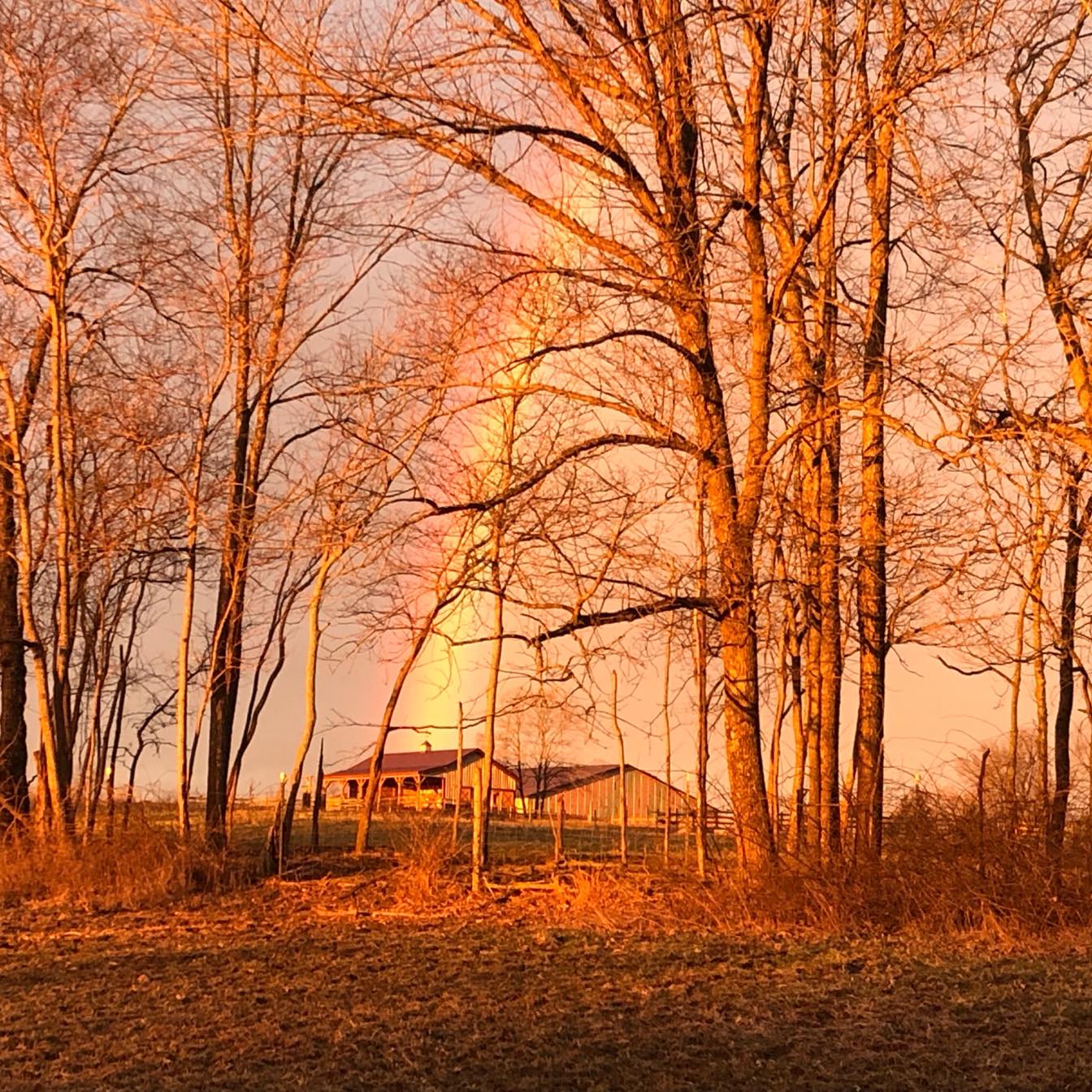 Picture of Teresa Bland