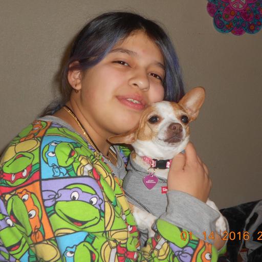 User profile photo