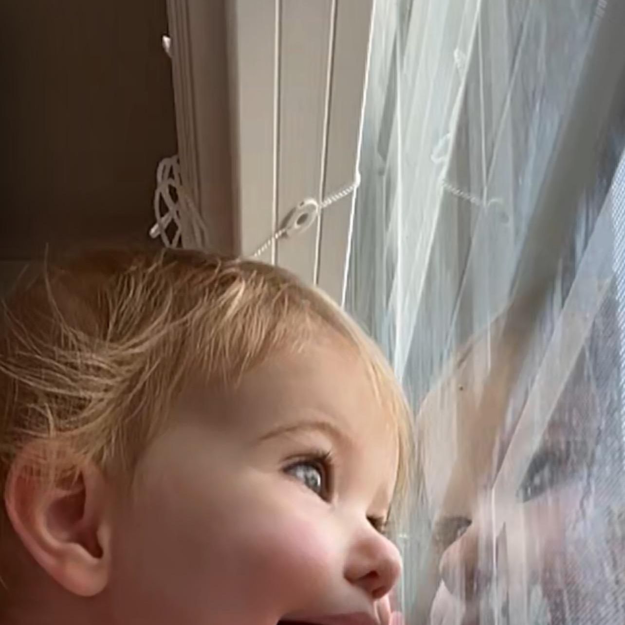 Picture of Michelle Ann