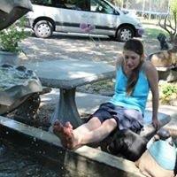 User profile photo