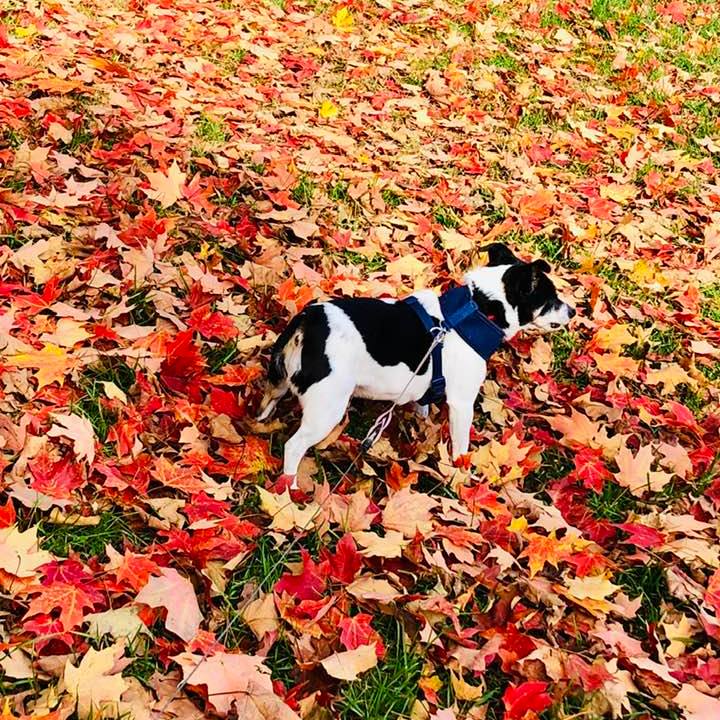 Picture of Carmen Reid