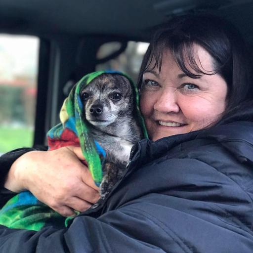 user profile icon inside a circle