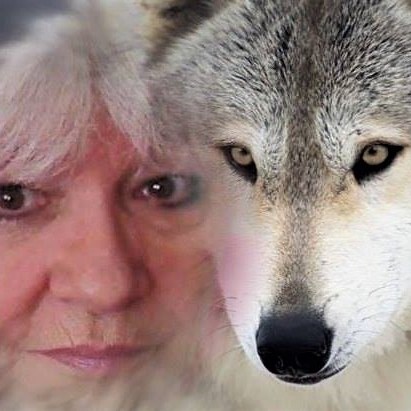 Picture of Dalene Weiss