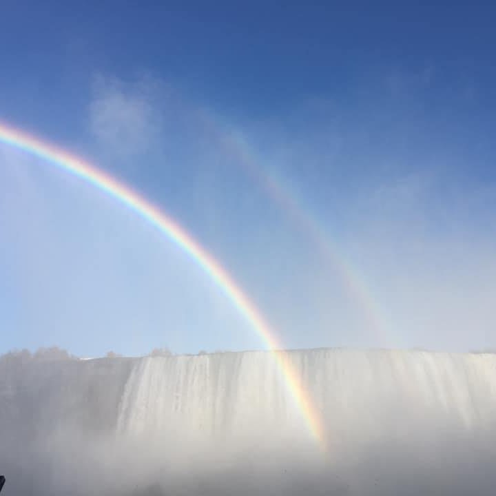 Picture of Teri Hayden