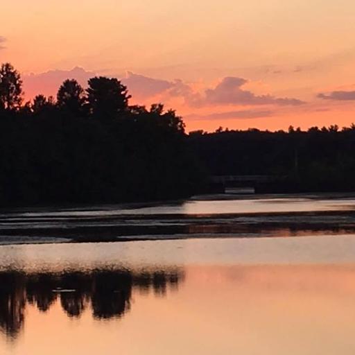 user profile icon inside a circle