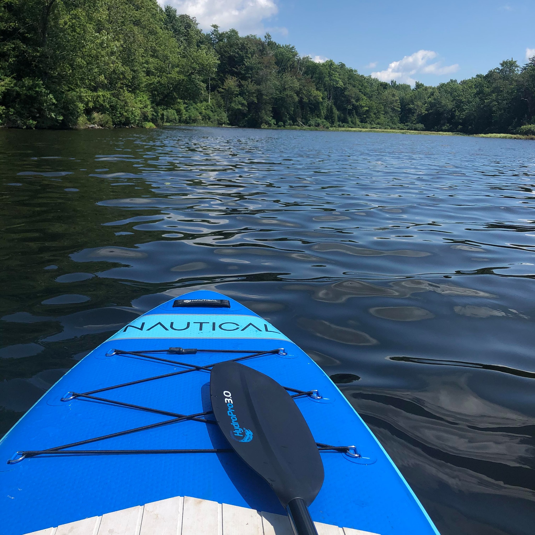 Picture of Denise Watkins