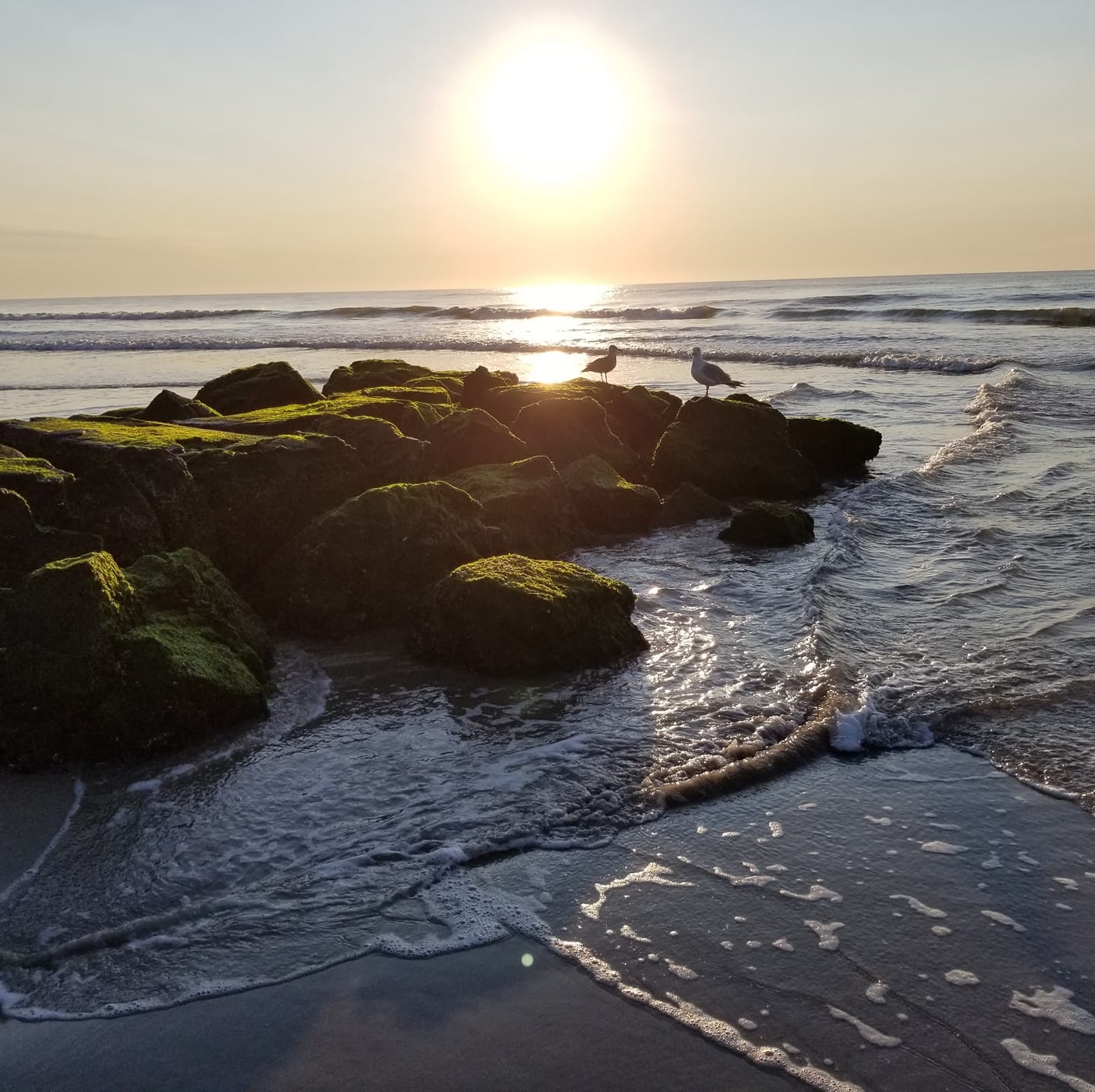 Picture of Vaneda Anderson