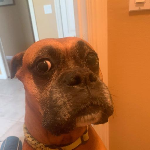 User profile photo