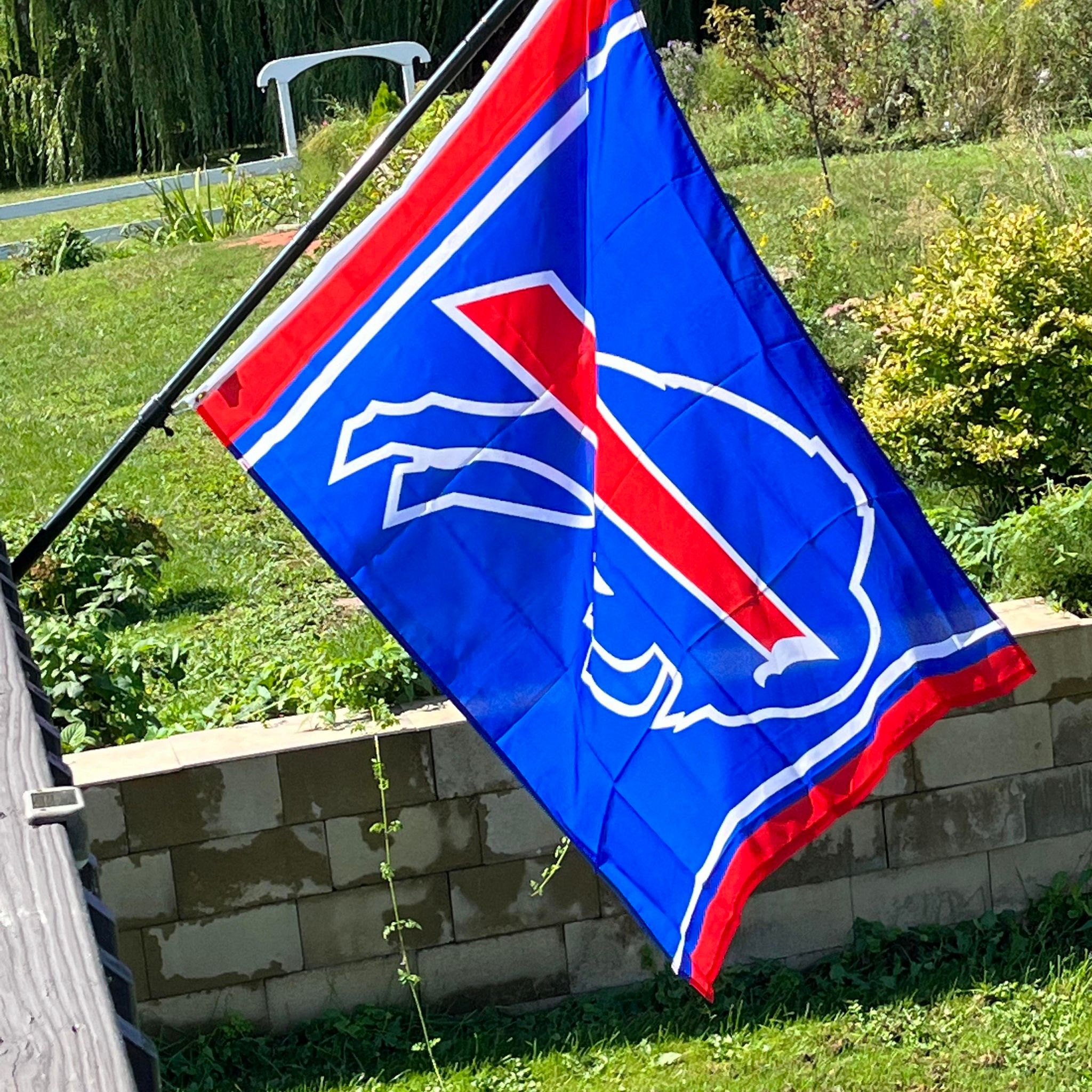 Picture of Sue Brown