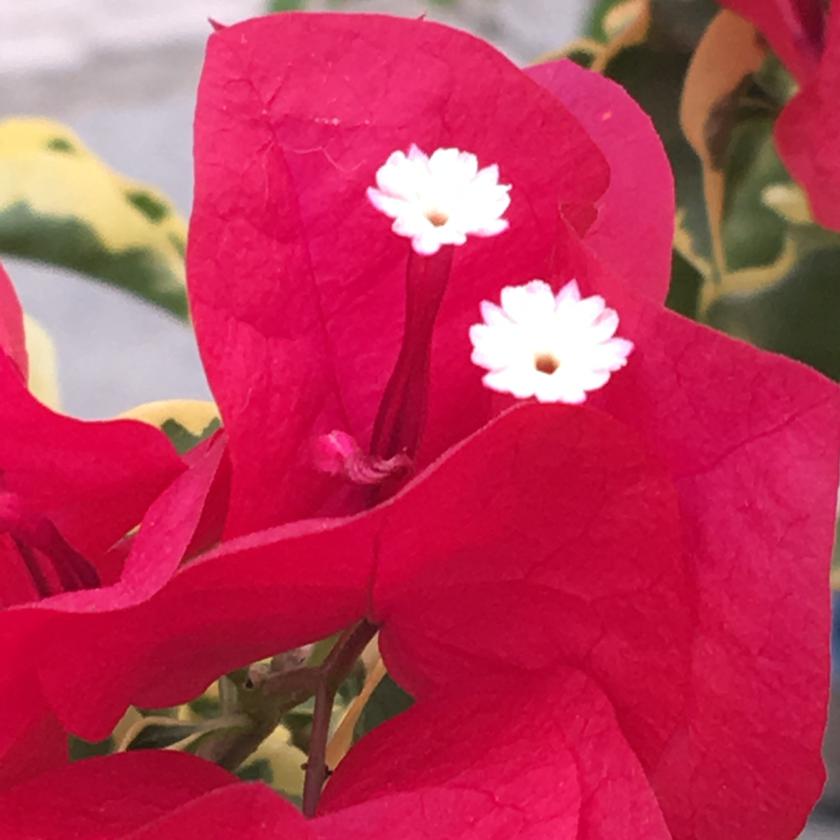 Picture of Jerri Kislowski