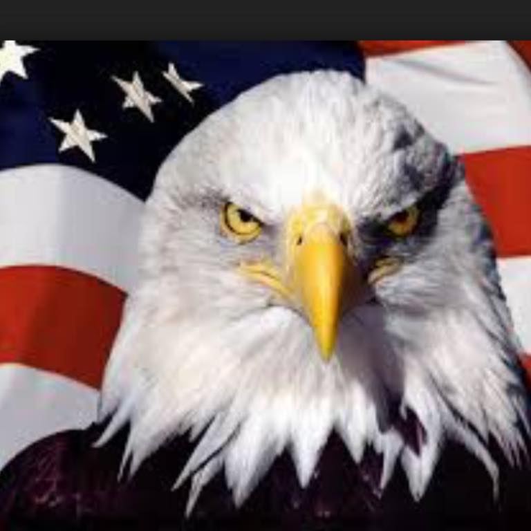 Picture of Steven Baldino