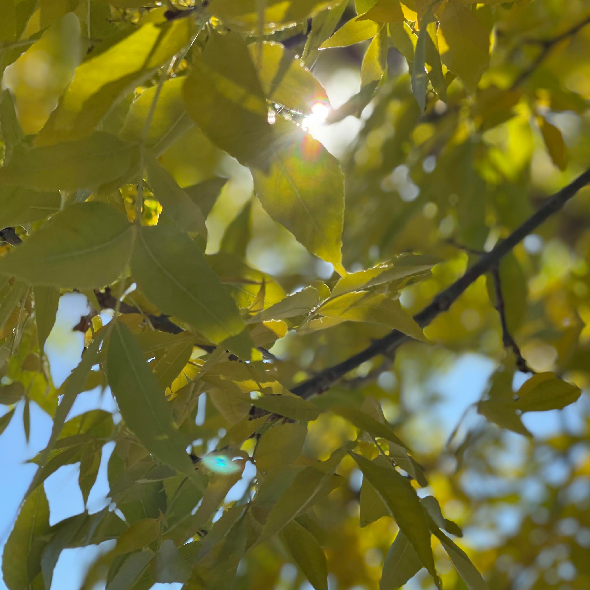 Picture of April Martin