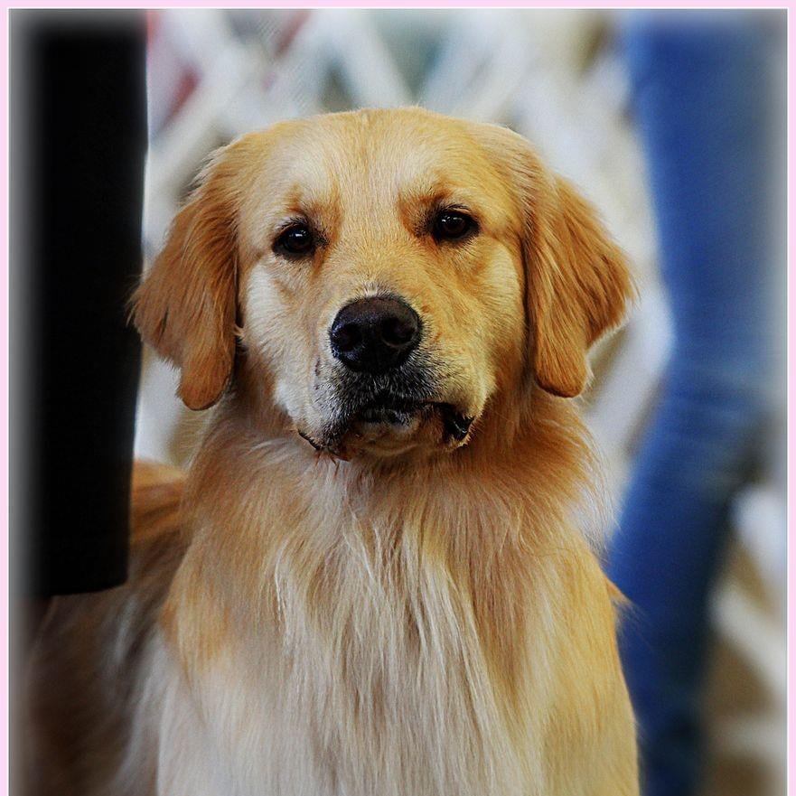 Picture of Gayle Cooley