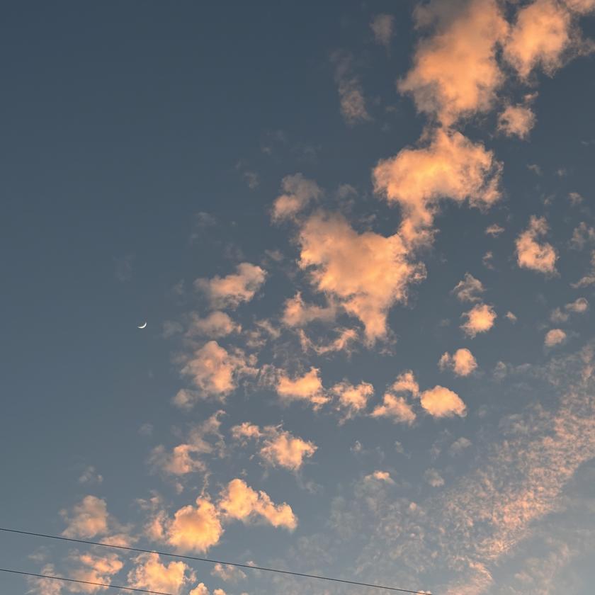 Picture of Rebecca Crawford