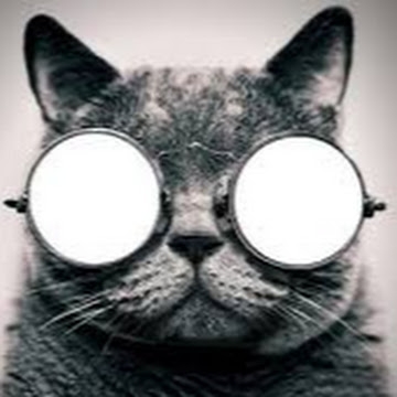 Picture of Dominique Regout