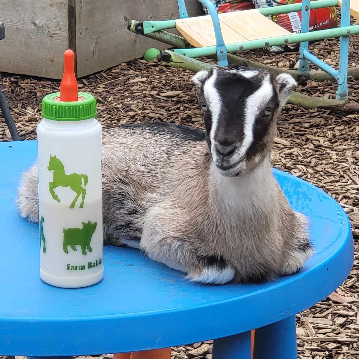 Picture of Erin McCloud