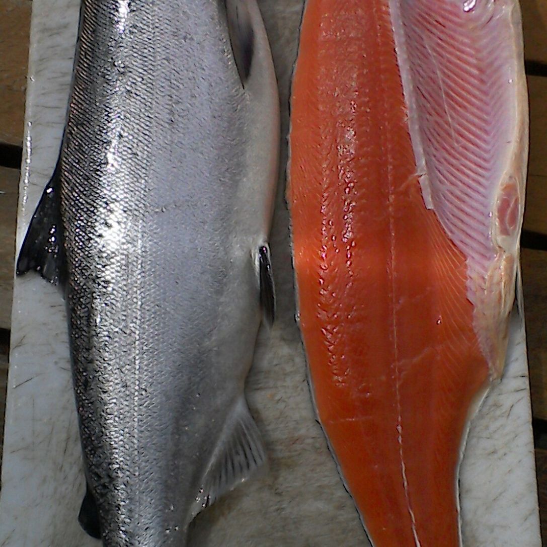 Picture of gail sterling